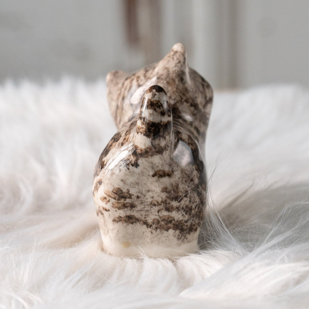 【Winstanley Cat ウィンスタンレイ キャット】ちらりと見上げるイタズラっぽい表情にときめく シルバータビー サバトラ猫 /25L