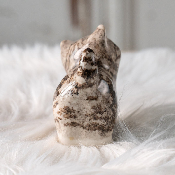 【Winstanley Cat ウィンスタンレイ キャット】ちらりと見上げるイタズラっぽい表情にときめく シルバータビー サバトラ猫 /25L