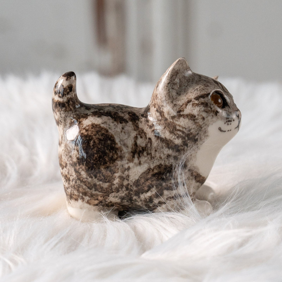 【Winstanley Cat ウィンスタンレイ キャット】ちらりと見上げるイタズラっぽい表情にときめく シルバータビー サバトラ猫 /25L