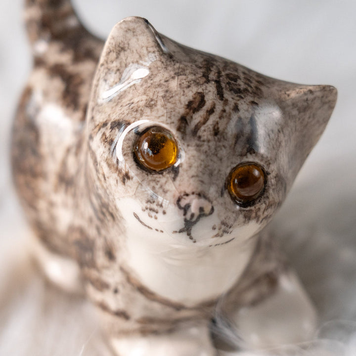 【Winstanley Cat ウィンスタンレイ キャット】ちらりと見上げるイタズラっぽい表情にときめく シルバータビー サバトラ猫 /25L