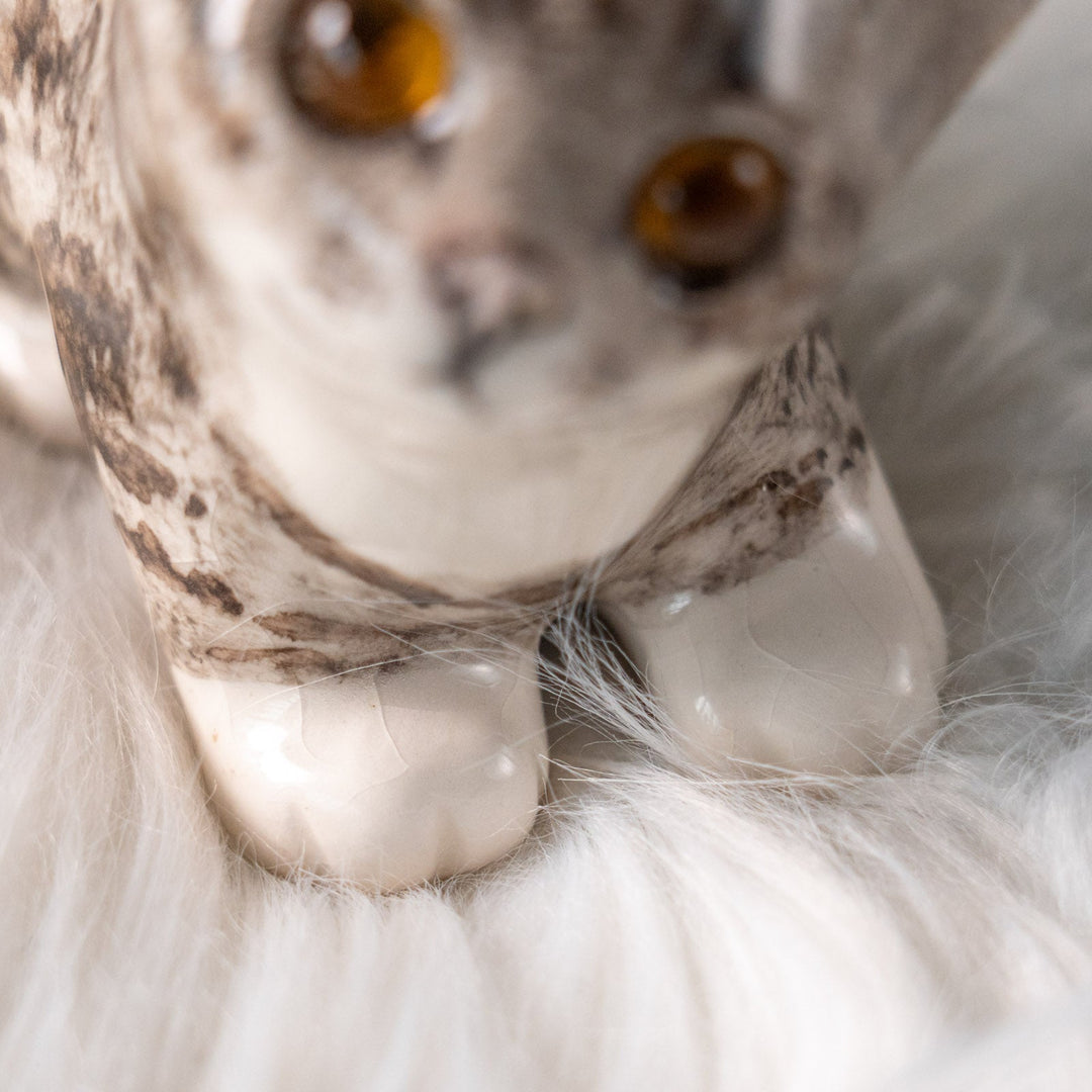 【Winstanley Cat ウィンスタンレイ キャット】ちらりと見上げるイタズラっぽい表情にときめく シルバータビー サバトラ猫 /25L