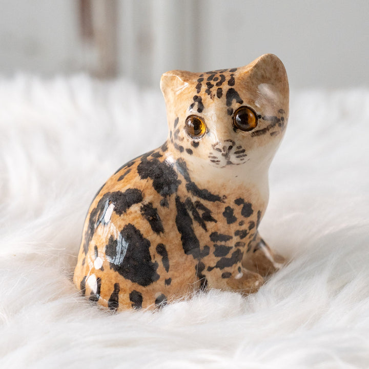 【Winstanley Cat ウィンスタンレイ キャット】興味深げに眺める姿が可愛らしい ベンガル ヒョウ柄猫 /25L