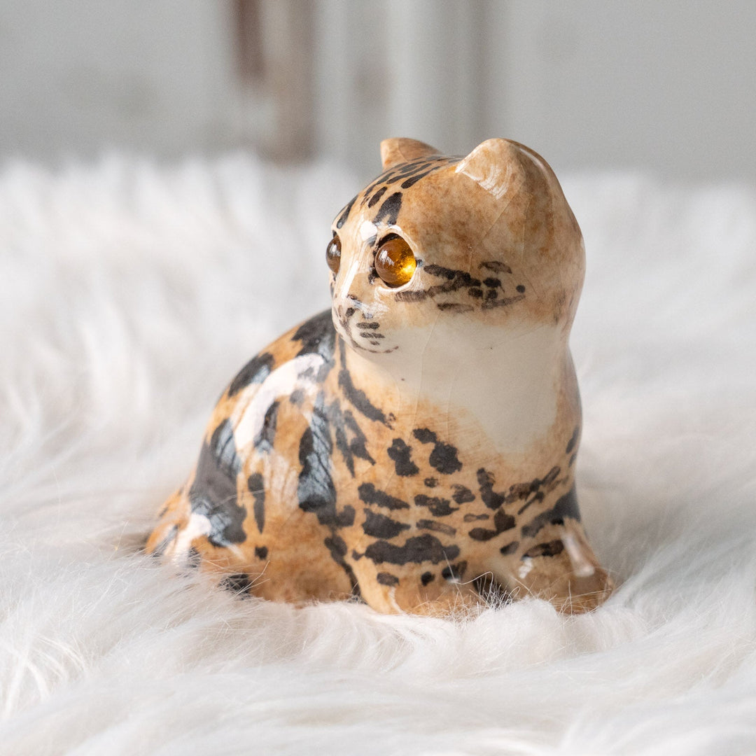 【Winstanley Cat ウィンスタンレイ キャット】興味深げに眺める姿が可愛らしい ベンガル ヒョウ柄猫 /25L