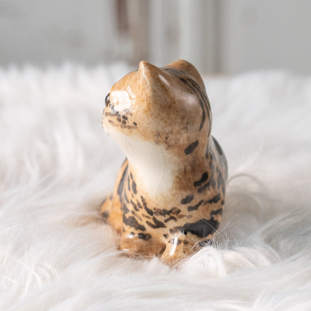 【Winstanley Cat ウィンスタンレイ キャット】興味深げに眺める姿が可愛らしい ベンガル ヒョウ柄猫 /25L