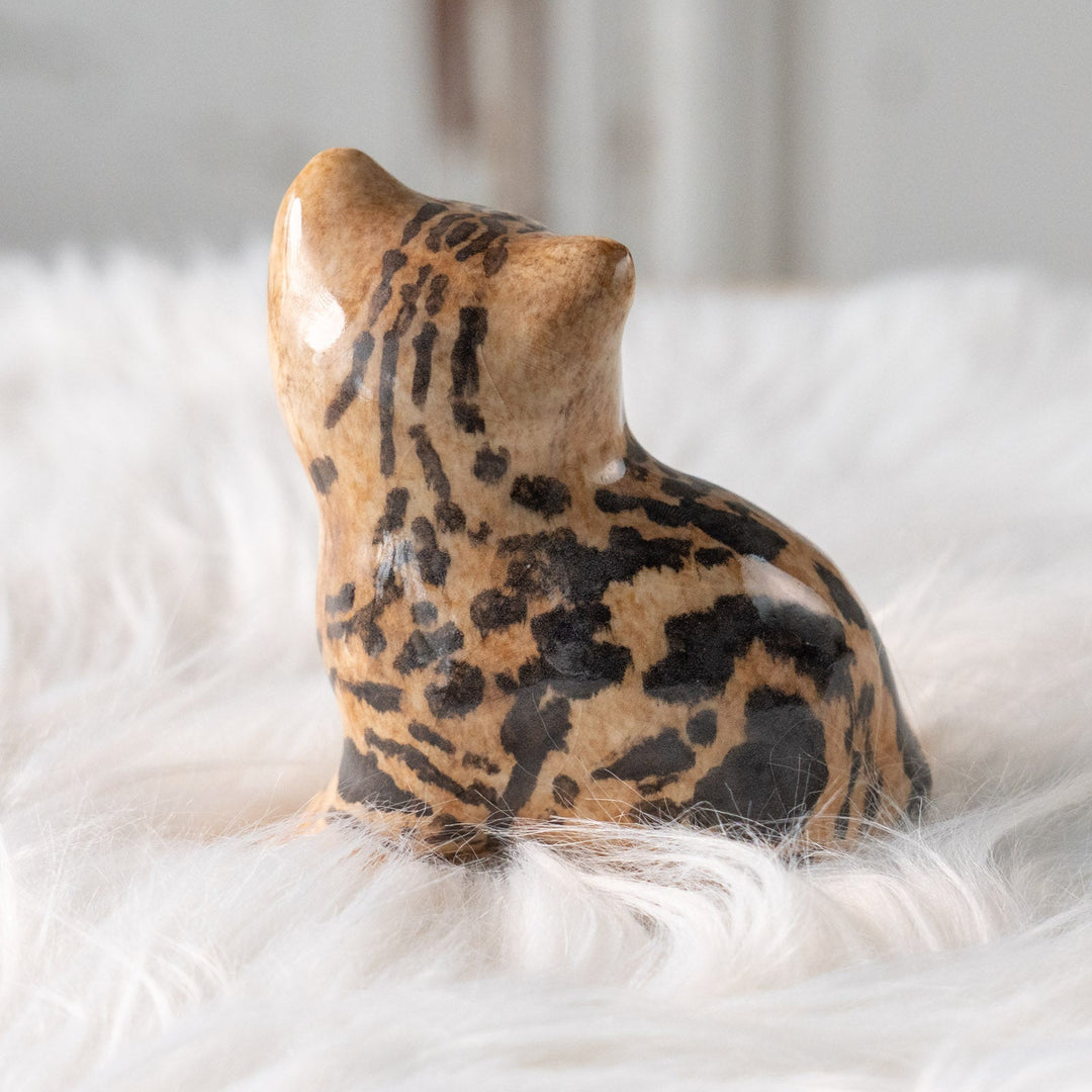 【Winstanley Cat ウィンスタンレイ キャット】興味深げに眺める姿が可愛らしい ベンガル ヒョウ柄猫 /25L