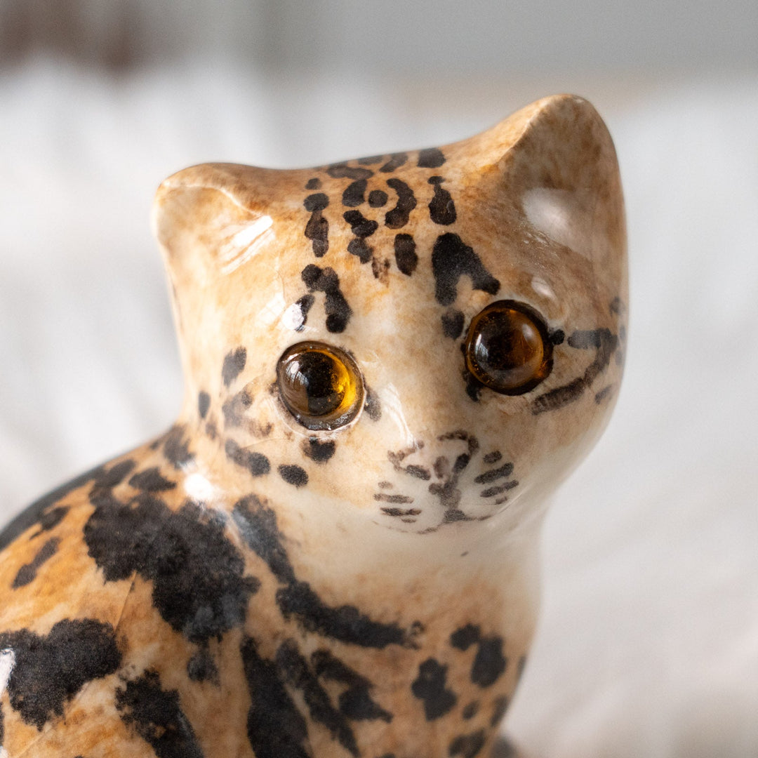 【Winstanley Cat ウィンスタンレイ キャット】興味深げに眺める姿が可愛らしい ベンガル ヒョウ柄猫 /25L