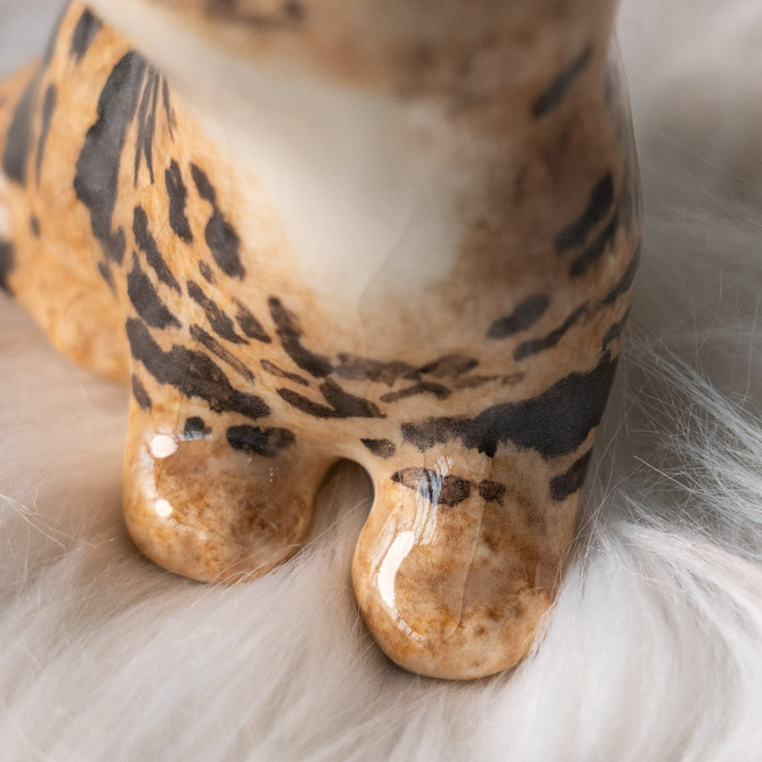 【Winstanley Cat ウィンスタンレイ キャット】興味深げに眺める姿が可愛らしい ベンガル ヒョウ柄猫 /25L