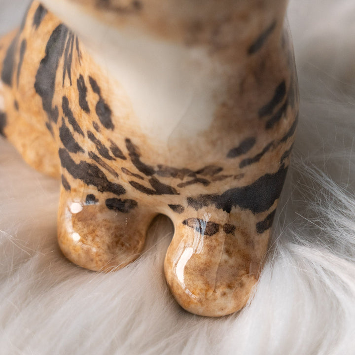 【Winstanley Cat ウィンスタンレイ キャット】興味深げに眺める姿が可愛らしい ベンガル ヒョウ柄猫 /25L