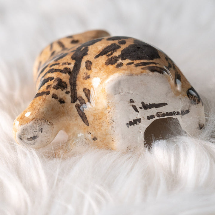 【Winstanley Cat ウィンスタンレイ キャット】興味深げに眺める姿が可愛らしい ベンガル ヒョウ柄猫 /25L