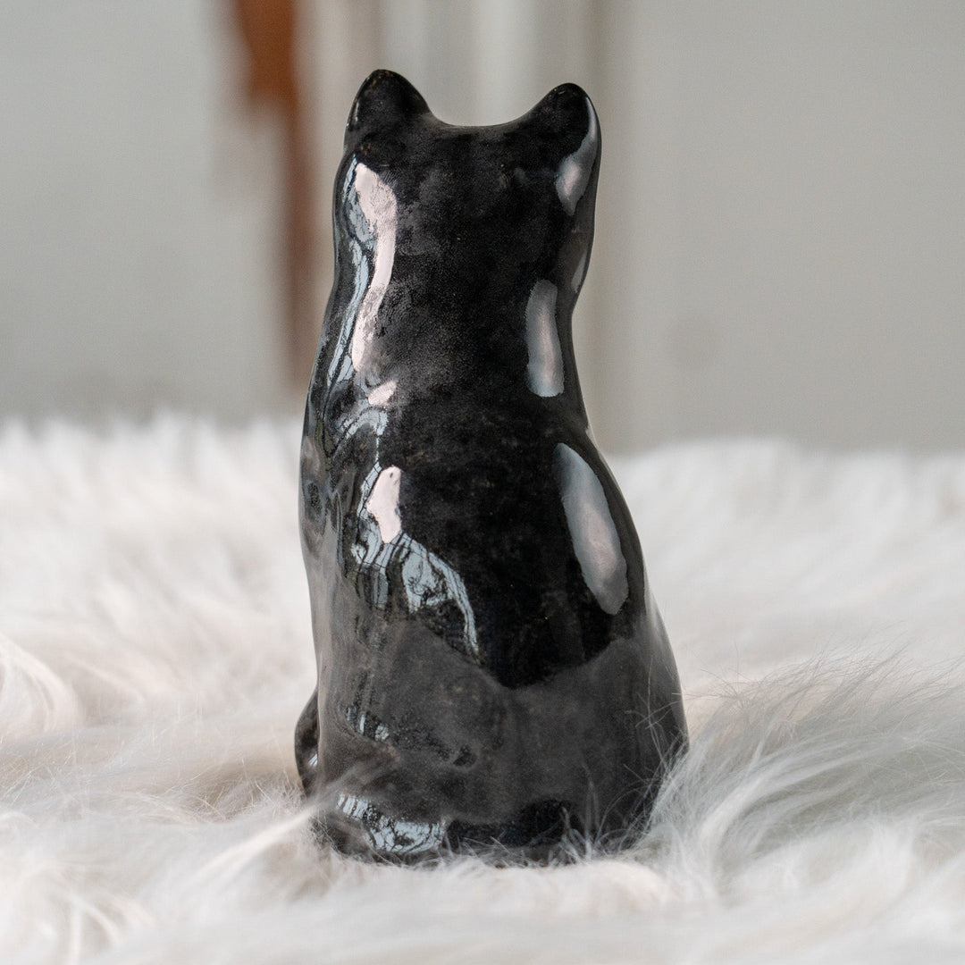 【Winstanley Cat ウィンスタンレイ キャット】愛嬌のある表情や柄が目を惹く タキシード 白黒猫 /25L-B