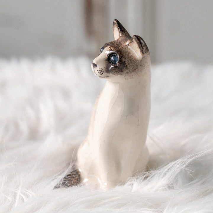 【Winstanley Cat ウィンスタンレイ キャット】すらりとした美しいフォルムに見惚れる ブルーアイ サイアミーズ シャム猫 /25L