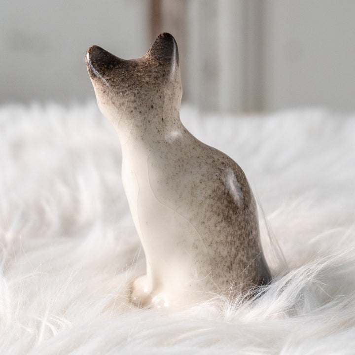 【Winstanley Cat ウィンスタンレイ キャット】すらりとした美しいフォルムに見惚れる ブルーアイ サイアミーズ シャム猫 /25L