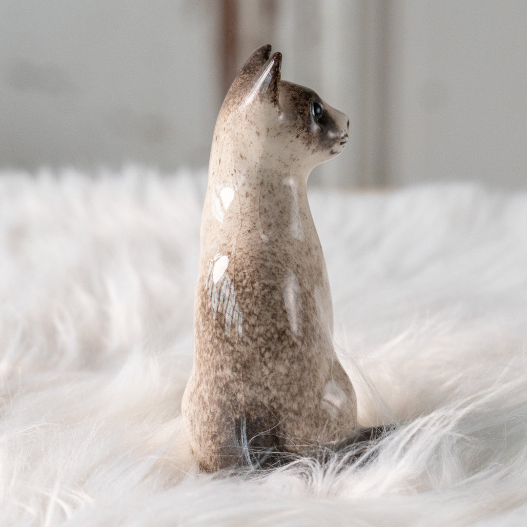 【Winstanley Cat ウィンスタンレイ キャット】すらりとした美しいフォルムに見惚れる ブルーアイ サイアミーズ シャム猫 /25L