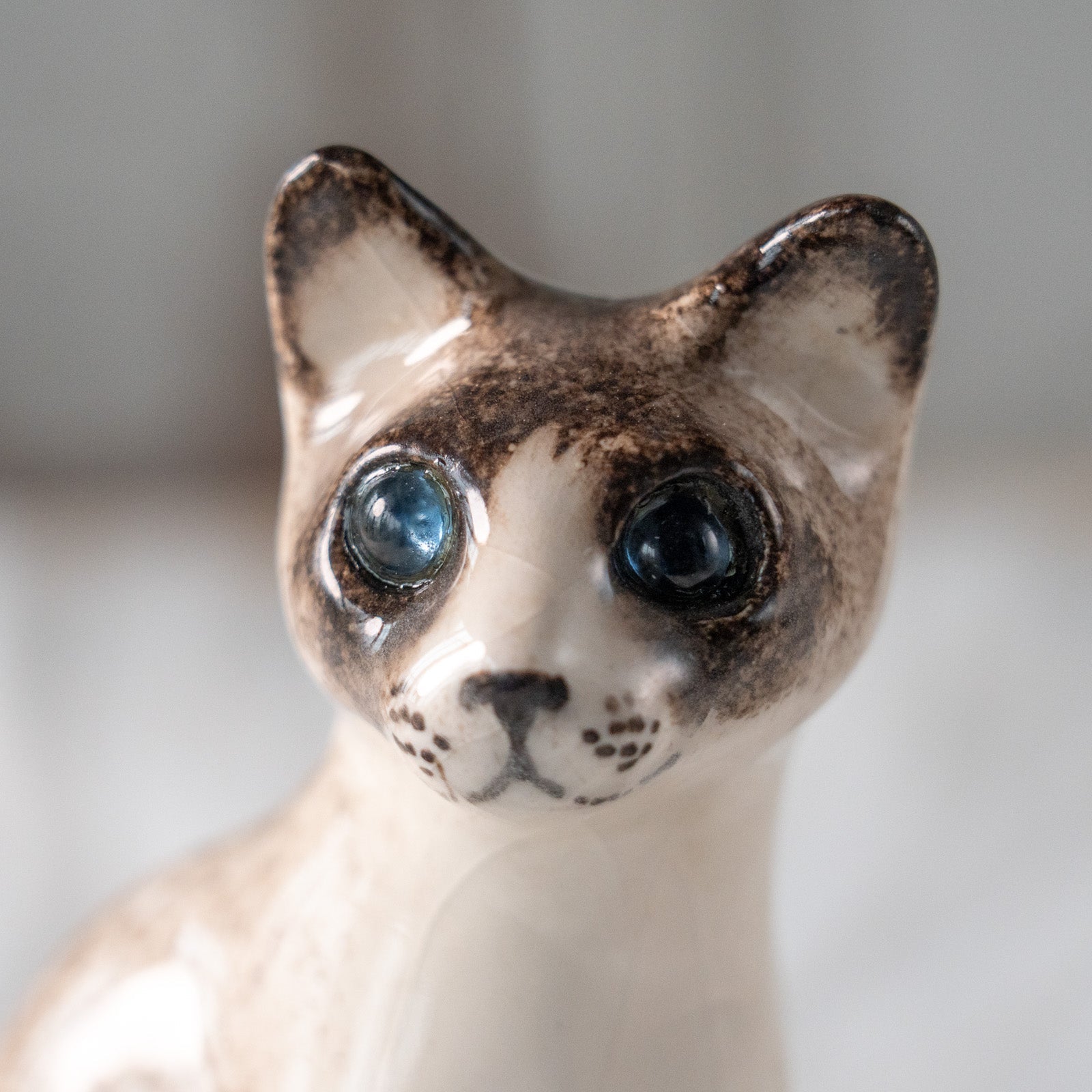 Winstanley Cat ウィンスタンレイ キャット】すらりとした美しい