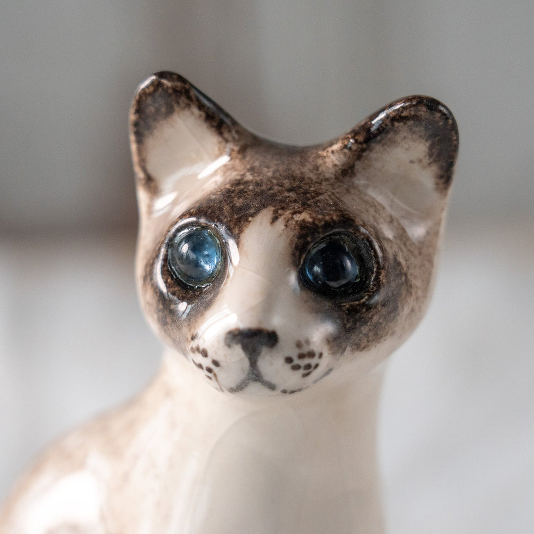 【Winstanley Cat ウィンスタンレイ キャット】すらりとした美しいフォルムに見惚れる ブルーアイ サイアミーズ シャム猫 /25L