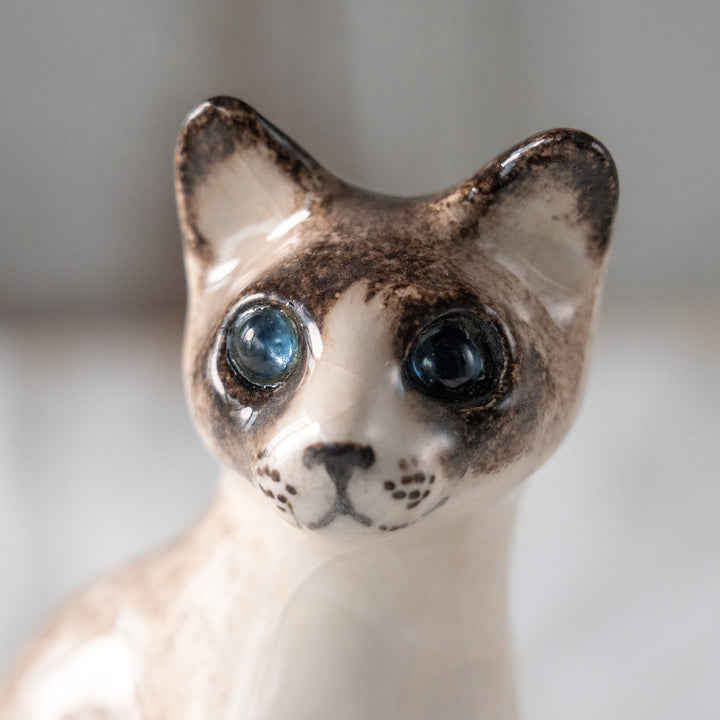 【Winstanley Cat ウィンスタンレイ キャット】すらりとした美しいフォルムに見惚れる ブルーアイ サイアミーズ シャム猫 /25L