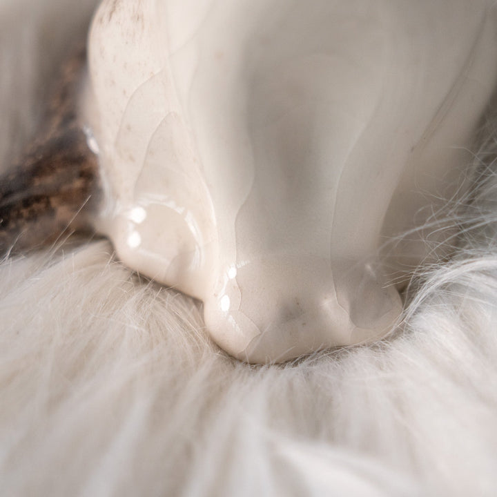 【Winstanley Cat ウィンスタンレイ キャット】すらりとした美しいフォルムに見惚れる ブルーアイ サイアミーズ シャム猫 /25L