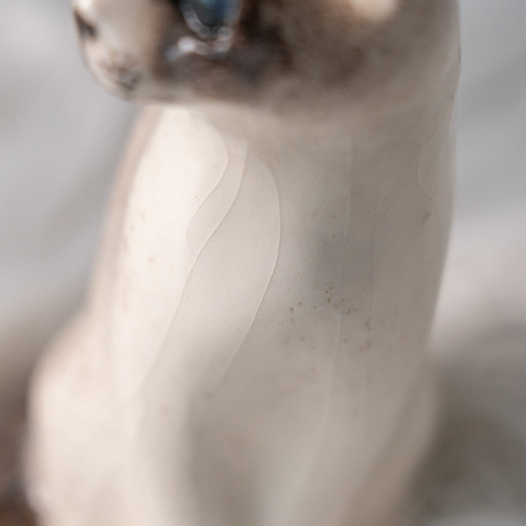 【Winstanley Cat ウィンスタンレイ キャット】すらりとした美しいフォルムに見惚れる ブルーアイ サイアミーズ シャム猫 /25L