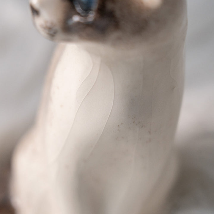 【Winstanley Cat ウィンスタンレイ キャット】すらりとした美しいフォルムに見惚れる ブルーアイ サイアミーズ シャム猫 /25L