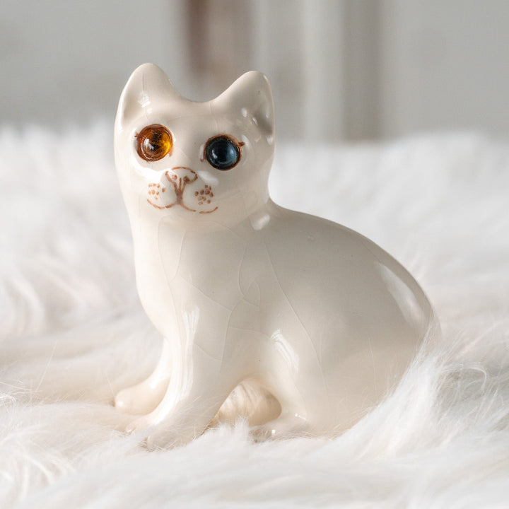 【Winstanley Cat ウィンスタンレイ キャット】大きくつぶらな瞳でこちらを見つめる オッドアイ スノーウィー 白猫 /25L