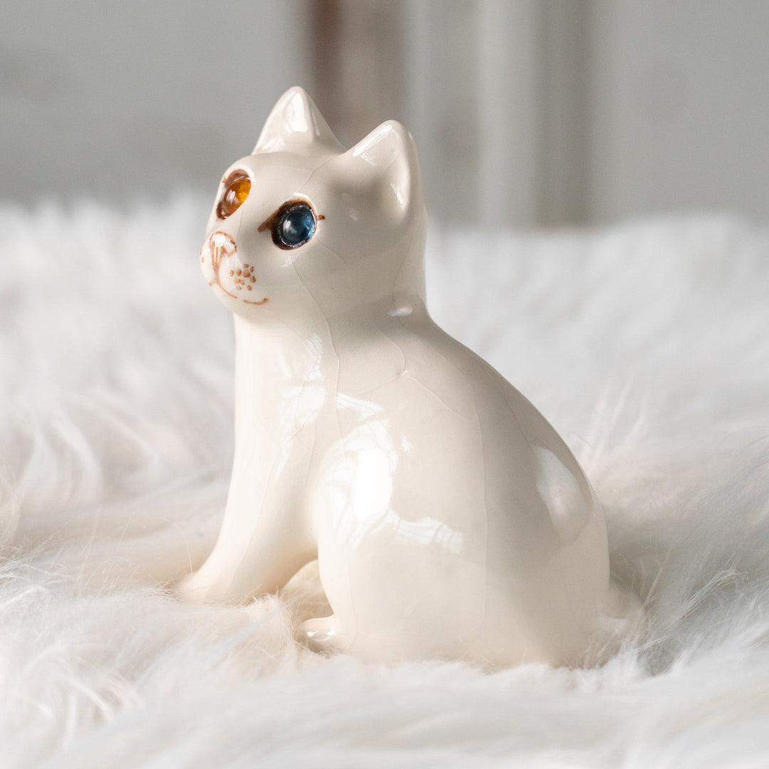 【Winstanley Cat ウィンスタンレイ キャット】大きくつぶらな瞳でこちらを見つめる オッドアイ スノーウィー 白猫 /25L