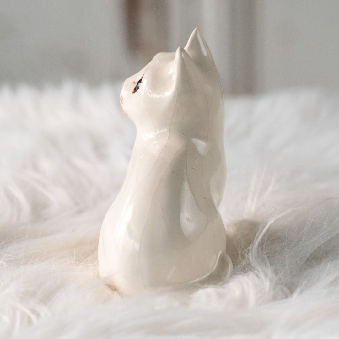 【Winstanley Cat ウィンスタンレイ キャット】大きくつぶらな瞳でこちらを見つめる オッドアイ スノーウィー 白猫 /25L