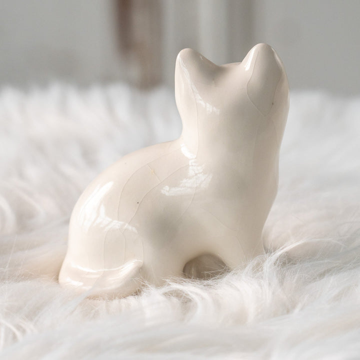 【Winstanley Cat ウィンスタンレイ キャット】大きくつぶらな瞳でこちらを見つめる オッドアイ スノーウィー 白猫 /25L