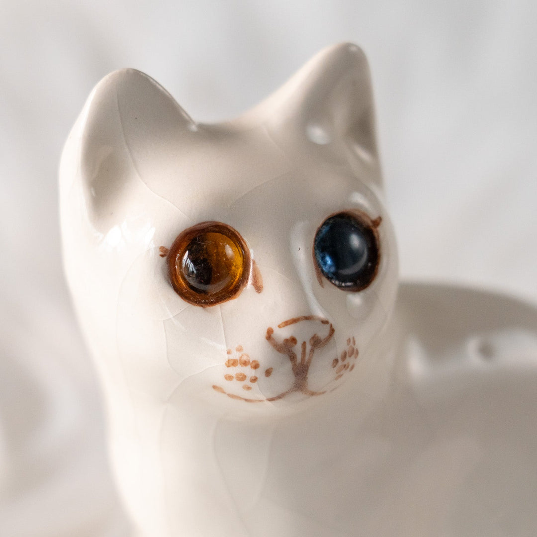 【Winstanley Cat ウィンスタンレイ キャット】大きくつぶらな瞳でこちらを見つめる オッドアイ スノーウィー 白猫 /25L