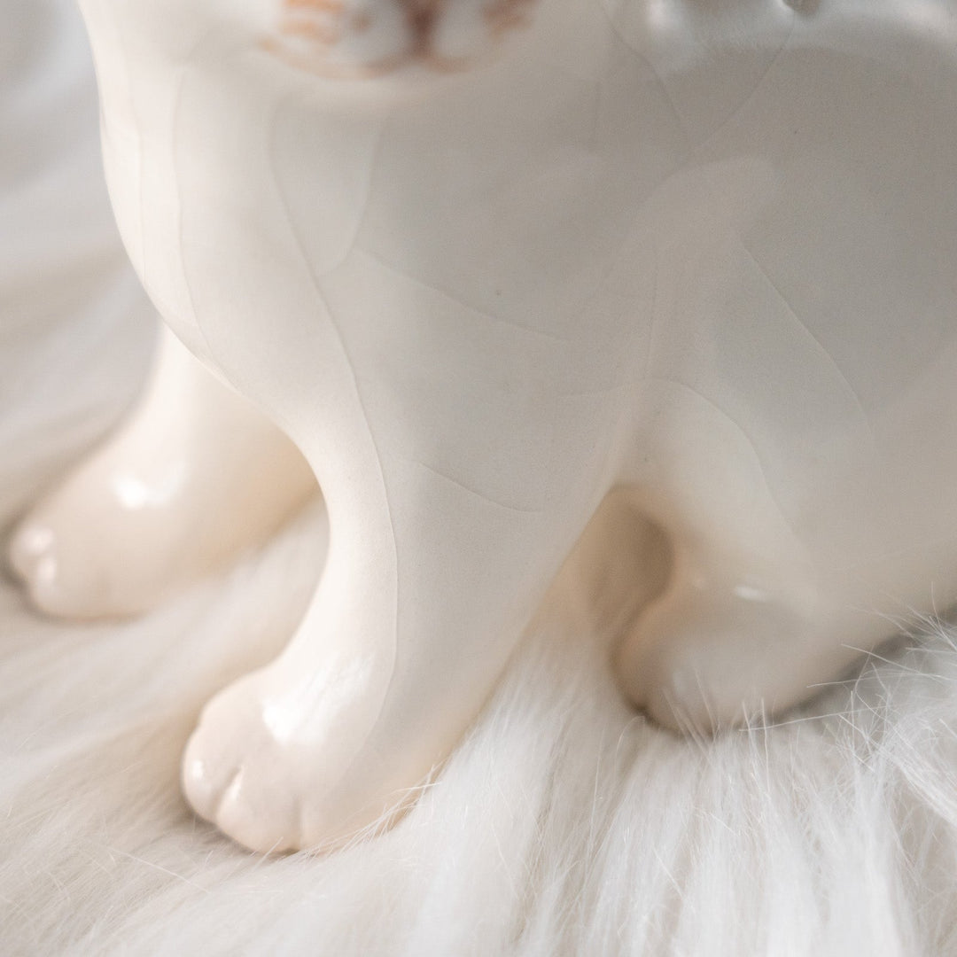 【Winstanley Cat ウィンスタンレイ キャット】大きくつぶらな瞳でこちらを見つめる オッドアイ スノーウィー 白猫 /25L