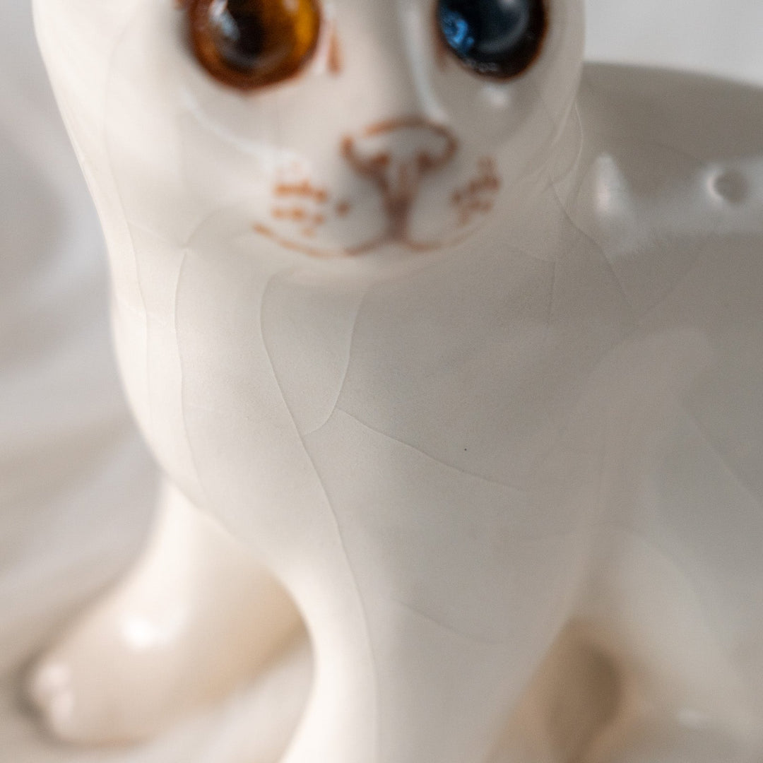 【Winstanley Cat ウィンスタンレイ キャット】大きくつぶらな瞳でこちらを見つめる オッドアイ スノーウィー 白猫 /25L