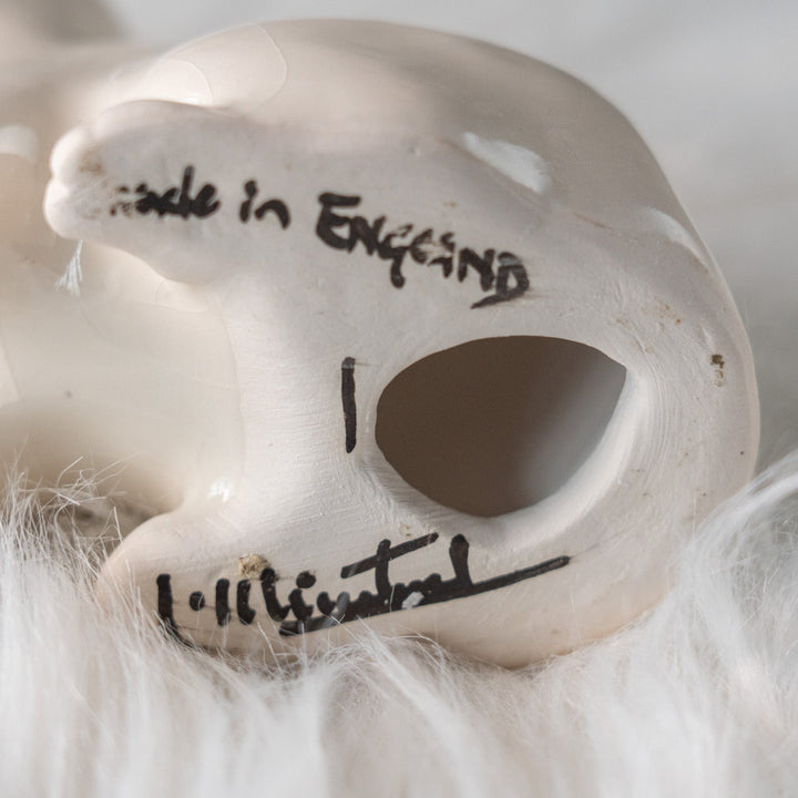 【Winstanley Cat ウィンスタンレイ キャット】大きくつぶらな瞳でこちらを見つめる オッドアイ スノーウィー 白猫 /25L