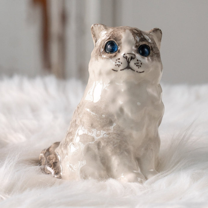 【Winstanley Cat ウィンスタンレイ キャット】ふわふわのぬいぐるみの様な愛らしさ ブルーアイ ラグドール 長毛猫 /25L