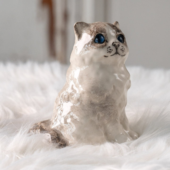 【Winstanley Cat ウィンスタンレイ キャット】ふわふわのぬいぐるみの様な愛らしさ ブルーアイ ラグドール 長毛猫 /25L