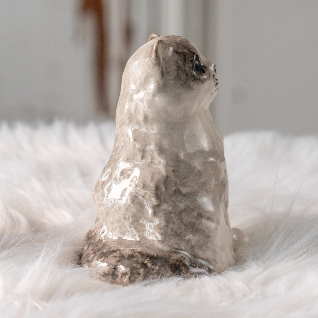 【Winstanley Cat ウィンスタンレイ キャット】ふわふわのぬいぐるみの様な愛らしさ ブルーアイ ラグドール 長毛猫 /25L