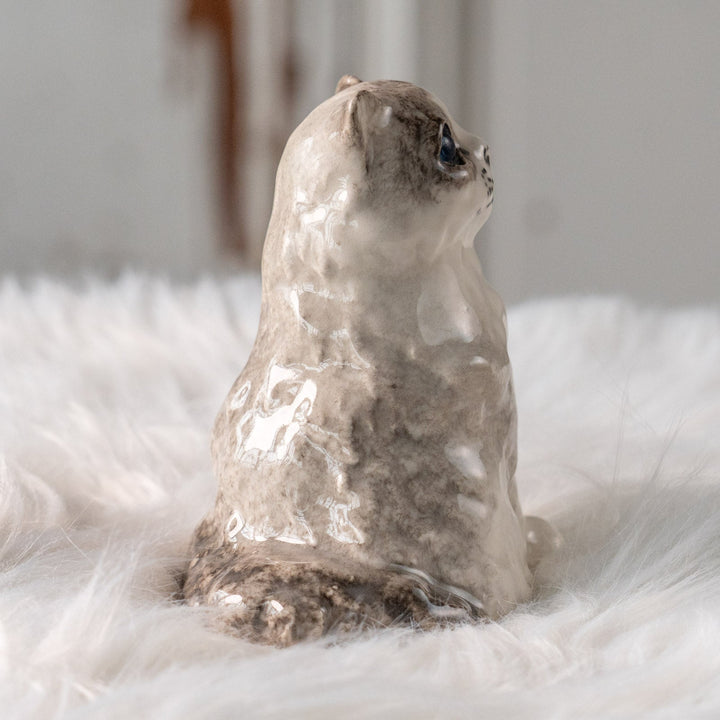 【Winstanley Cat ウィンスタンレイ キャット】ふわふわのぬいぐるみの様な愛らしさ ブルーアイ ラグドール 長毛猫 /25L