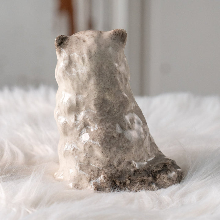 【Winstanley Cat ウィンスタンレイ キャット】ふわふわのぬいぐるみの様な愛らしさ ブルーアイ ラグドール 長毛猫 /25L