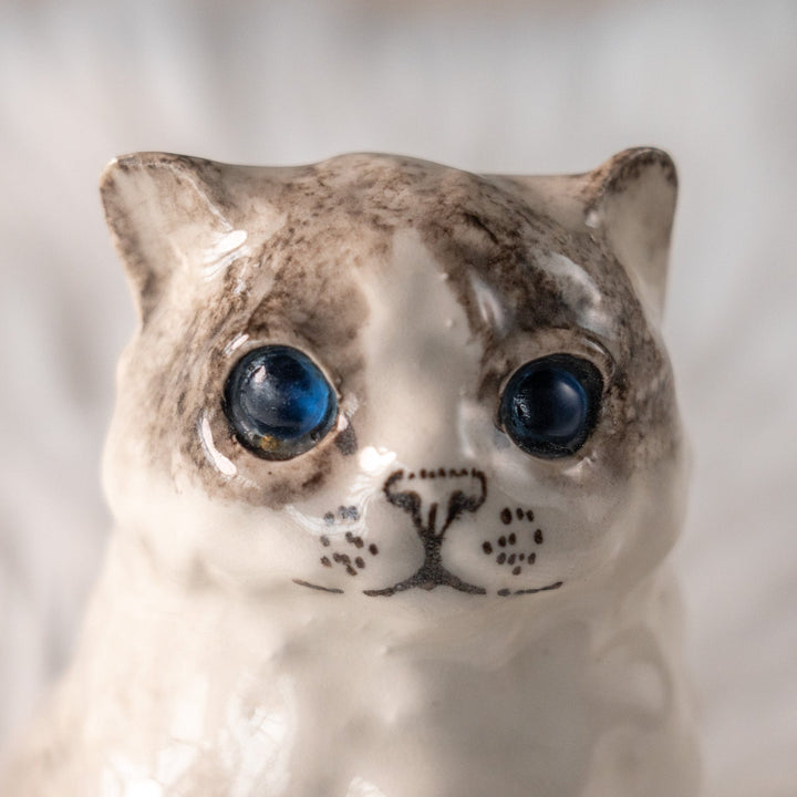 【Winstanley Cat ウィンスタンレイ キャット】ふわふわのぬいぐるみの様な愛らしさ ブルーアイ ラグドール 長毛猫 /25L