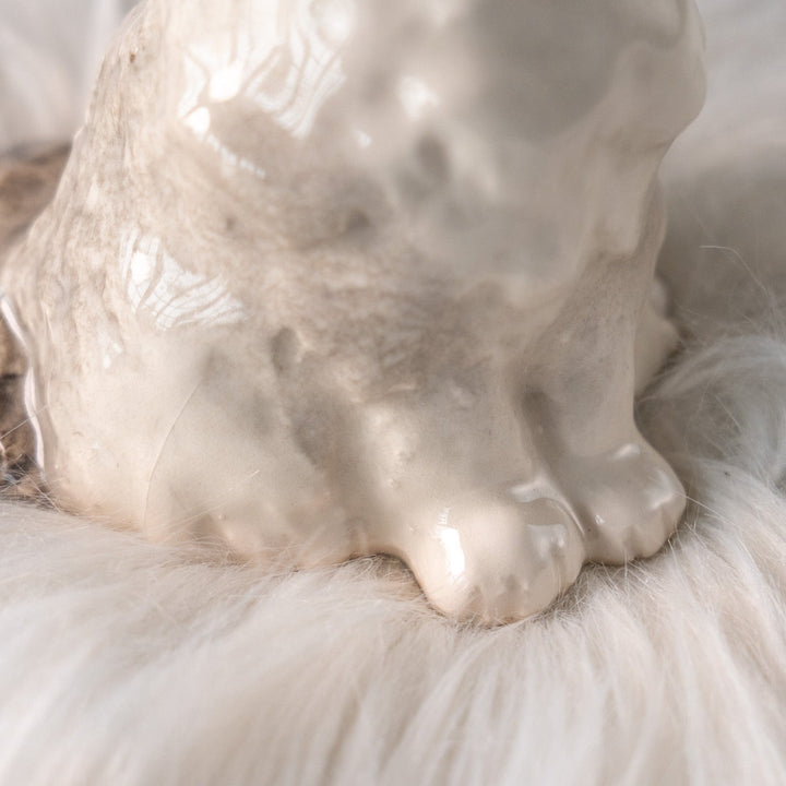 【Winstanley Cat ウィンスタンレイ キャット】ふわふわのぬいぐるみの様な愛らしさ ブルーアイ ラグドール 長毛猫 /25L