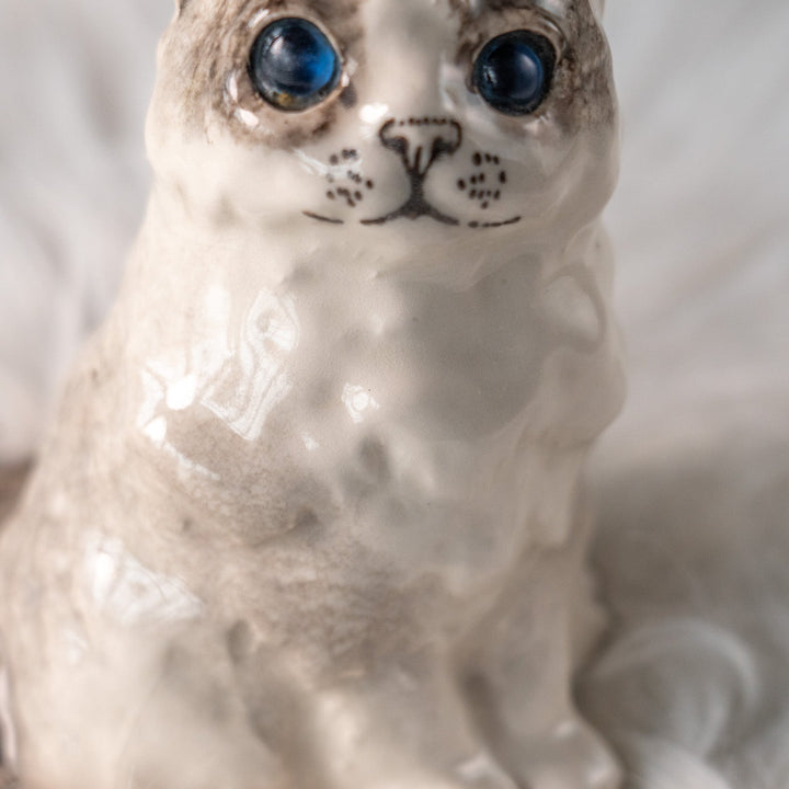 【Winstanley Cat ウィンスタンレイ キャット】ふわふわのぬいぐるみの様な愛らしさ ブルーアイ ラグドール 長毛猫 /25L