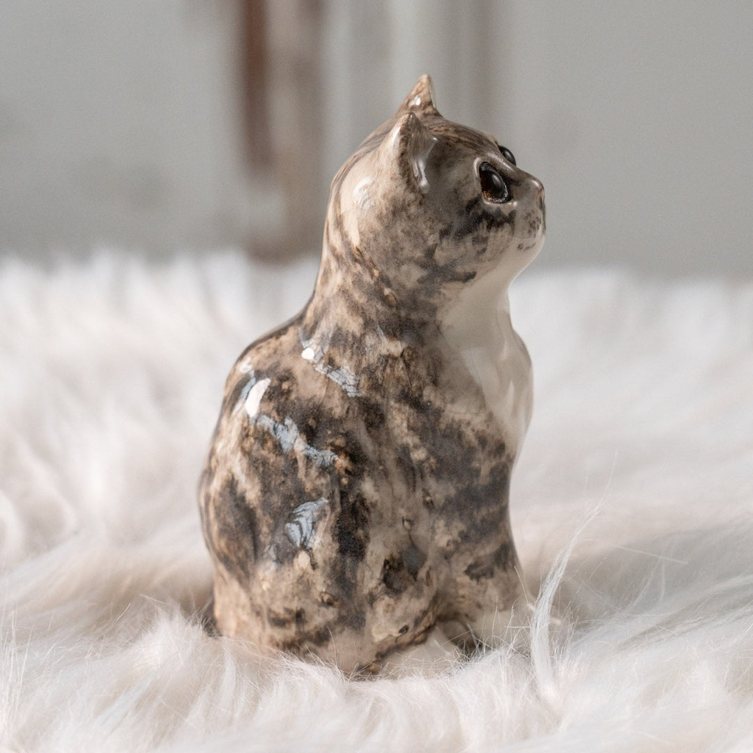 【Winstanley Cat ウィンスタンレイ キャット】つぶらな瞳でじっと見つめる シルバータビー サバトラ猫 /25L-A