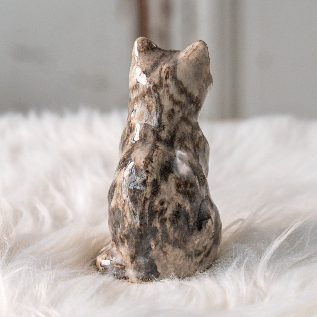 【Winstanley Cat ウィンスタンレイ キャット】つぶらな瞳でじっと見つめる シルバータビー サバトラ猫 /25L-A