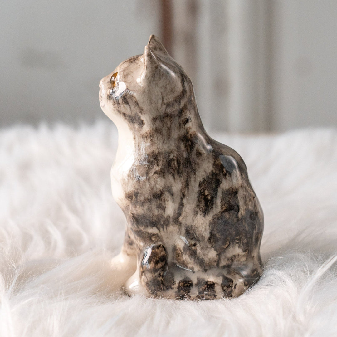 【Winstanley Cat ウィンスタンレイ キャット】つぶらな瞳でじっと見つめる シルバータビー サバトラ猫 /25L-A