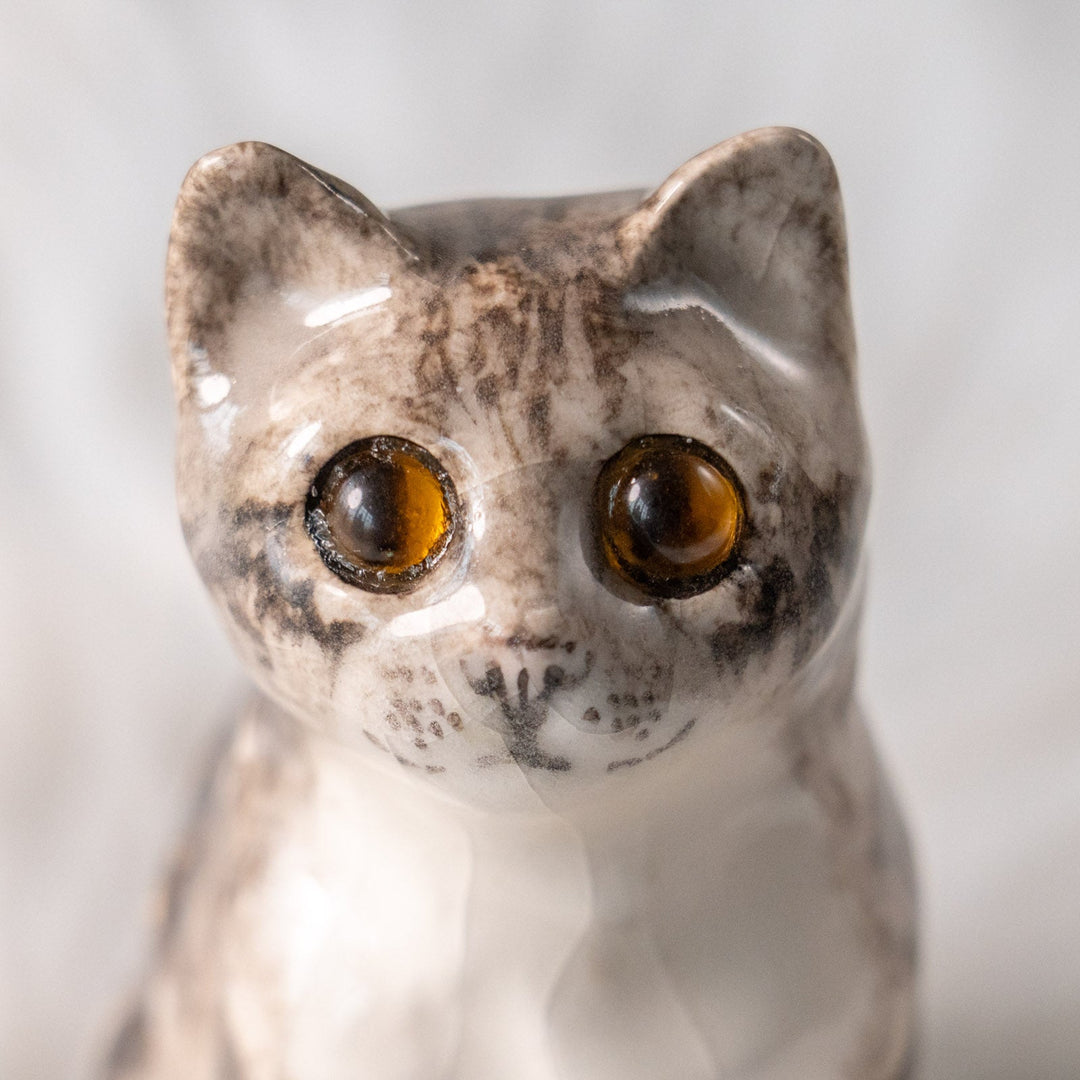 【Winstanley Cat ウィンスタンレイ キャット】つぶらな瞳でじっと見つめる シルバータビー サバトラ猫 /25L-A