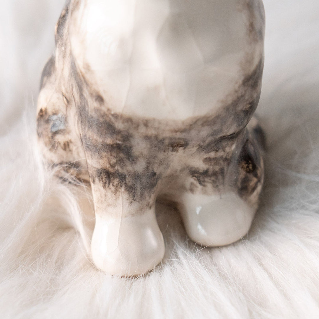 【Winstanley Cat ウィンスタンレイ キャット】つぶらな瞳でじっと見つめる シルバータビー サバトラ猫 /25L-A