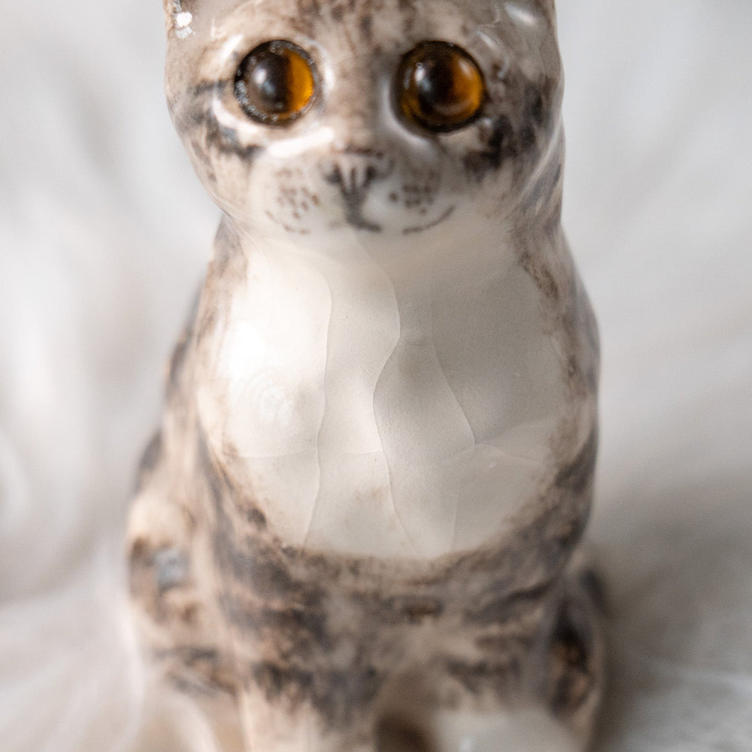 【Winstanley Cat ウィンスタンレイ キャット】つぶらな瞳でじっと見つめる シルバータビー サバトラ猫 /25L-A