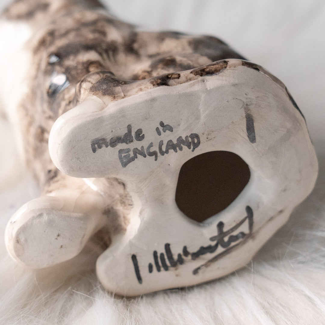 【Winstanley Cat ウィンスタンレイ キャット】つぶらな瞳でじっと見つめる シルバータビー サバトラ猫 /25L-A