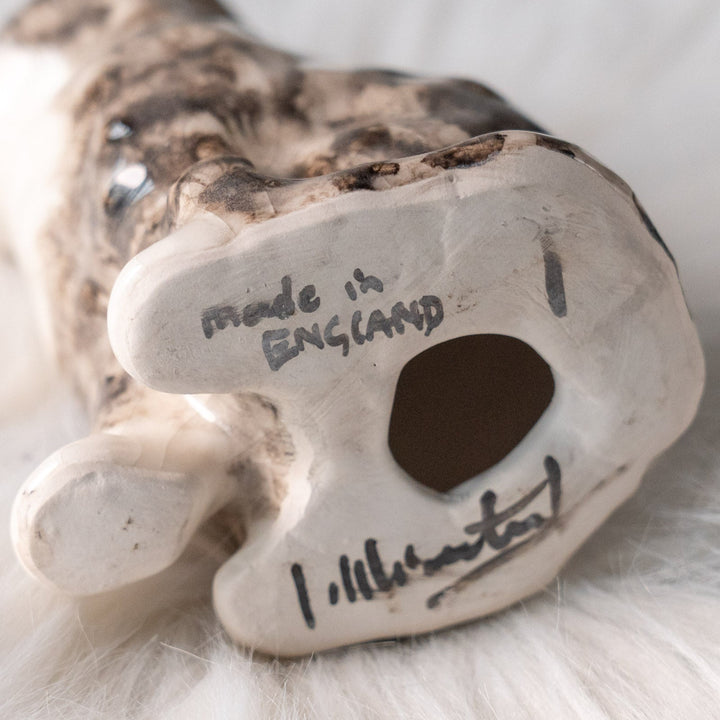 【Winstanley Cat ウィンスタンレイ キャット】つぶらな瞳でじっと見つめる シルバータビー サバトラ猫 /25L-A