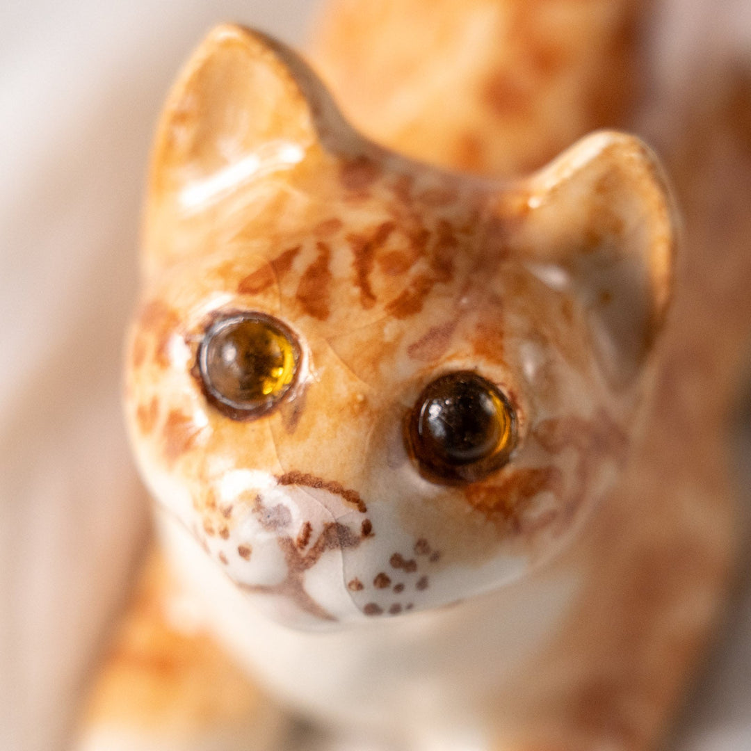 【Winstanley Cat ウィンスタンレイ キャット】今にも飛びかかりそうな躍動感あるフォルム ジンジャー 茶トラ猫 /25L