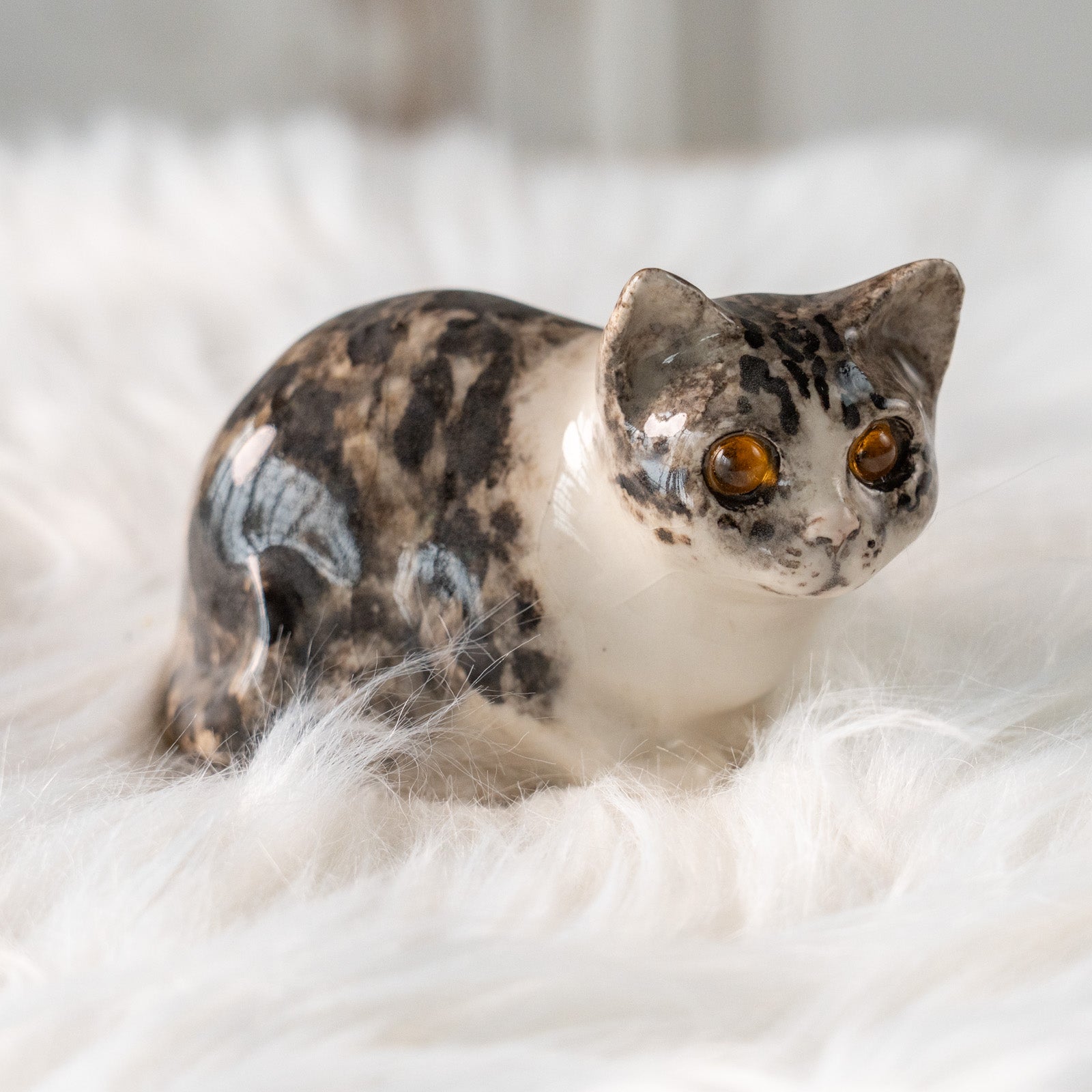 Winstanley Cat ウィンスタンレイ キャット】じっとこちらを窺うような