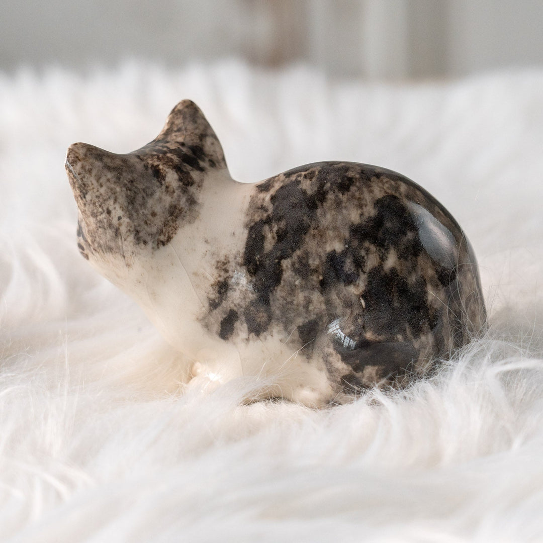 【Winstanley Cat ウィンスタンレイ キャット】じっとこちらを窺うような表情が印象的 シルバータビー サバトラ猫 /25L